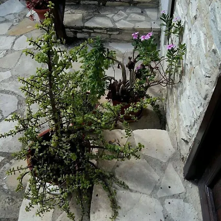 Appartement Romios Kalavasos