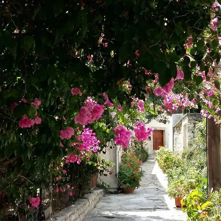 Διαμέρισμα Romios Καλαβασός